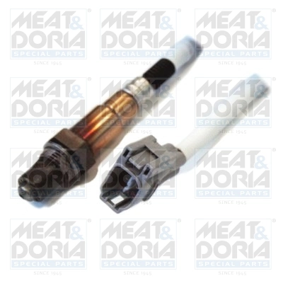 Oxygen Sensor